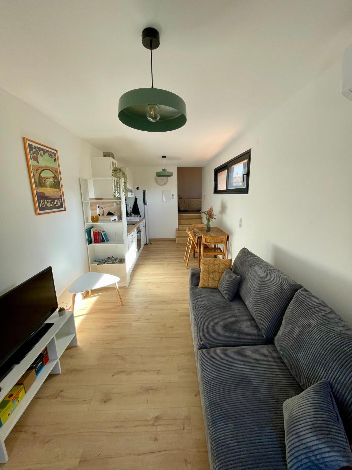 Bel Appartement A Céret Esterno foto