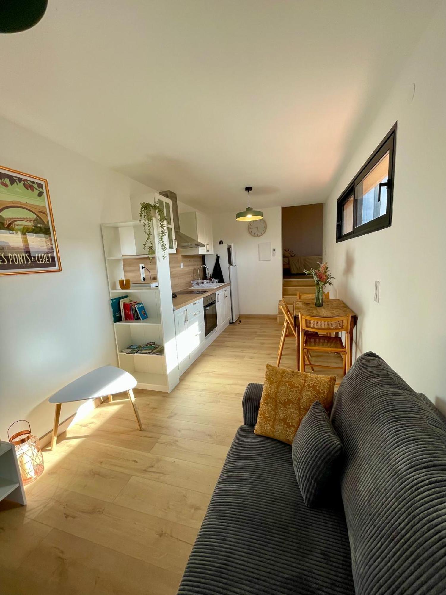 Bel Appartement A Céret Esterno foto